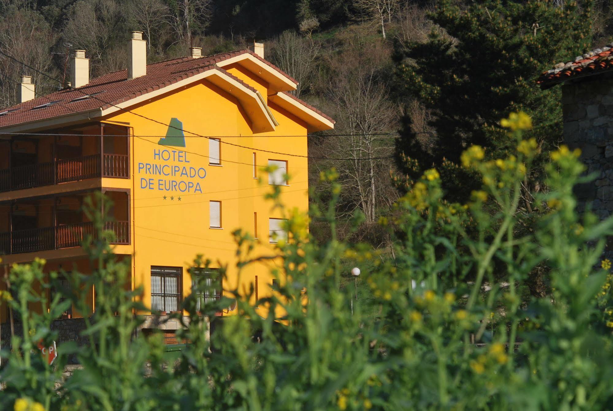 Hotel Principado De Europa Arenas De Cabrales Dış mekan fotoğraf